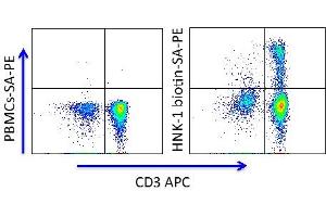 Flow Cytometry (FACS) image for anti-beta-1,3-Glucuronyltransferase 1 (Glucuronosyltransferase P) (B3GAT1) antibody (Biotin) (ABIN3071852)