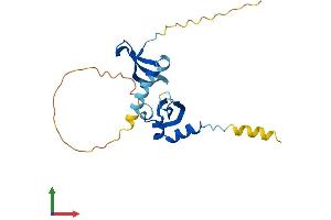 AlphaFold protein structure predicition of Human Recombinant CBX5 Protein, UniprotID P45973