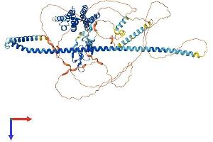 AlphaFold protein structure predicition of Human Recombinant HGS Protein, UniprotID O14964