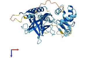 AlphaFold protein structure predicition of Human Recombinant PLEK Protein, UniprotID P08567