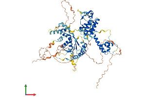 AlphaFold protein structure predicition of Human Recombinant RAD17 Protein, UniprotID O75943