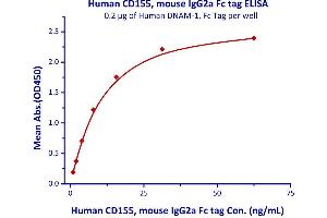 Measured by its binding ability in a functional ELISA. (Poliovirus Receptor Protein (PVR) (AA 21-343) (Fc Tag))