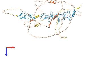 AlphaFold protein structure predicition of Human Recombinant AJUBA Protein, UniprotID Q96IF1