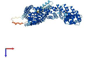 AlphaFold protein structure predicition of Mouse Recombinant Ttc12 Protein, UniprotID Q8BW49