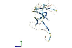 AlphaFold protein structure predicition of Mouse Recombinant Ninl Protein, UniprotID Q6ZQ12