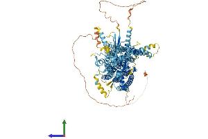 AlphaFold protein structure predicition of Mouse Recombinant Ano1 Protein, UniprotID Q8BHY3