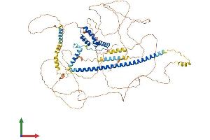 AlphaFold protein structure predicition of Human Recombinant SOX6 Protein, UniprotID P35712