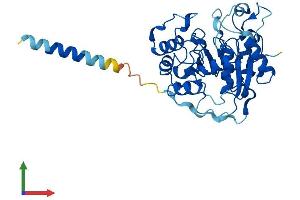 AlphaFold protein structure predicition of Human Recombinant ST3GAL6 Protein, UniprotID Q9Y274