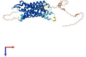 AlphaFold protein structure predicition of Human Recombinant GALR2 Protein, UniprotID O43603