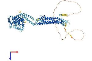 AlphaFold protein structure predicition of Human Recombinant DNM1L Protein, UniprotID O00429