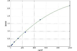 Hepatoma-Derived Growth Factor (HDGF) ELISA Kit