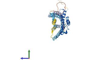AlphaFold protein structure predicition of Mouse Recombinant Agtr1a Protein, UniprotID P29754