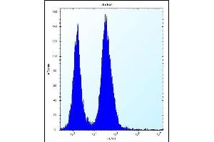 SSR2 Antibody (C-term) (ABIN657094 and ABIN2846252) flow cytometric analysis of Jurkat cells (right histogram) compared to a negative control cell (left histogram). (SSR2 anticorps  (C-Term))