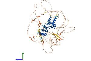 AlphaFold protein structure predicition of Mouse Recombinant Six5 Protein, UniprotID P70178