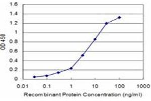 Detection limit for recombinant GST tagged DBP is approximately 0.