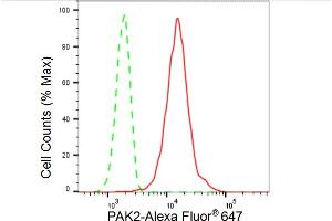 Flow cytometric analysis of PAK2 expression in HT- cells using PAK2 antibody (ABIN7799719), 1:2,000). (Recombinant PAK2 anticorps)