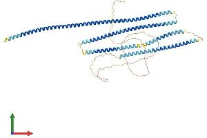 AlphaFold protein structure predicition of Human Recombinant SPDL1 Protein, UniprotID Q96EA4