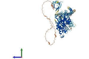 AlphaFold protein structure predicition of Mouse Recombinant Kif2c Protein, UniprotID Q922S8
