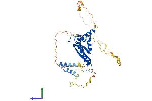 AlphaFold protein structure predicition of Mouse Recombinant Khdrbs2 Protein, UniprotID Q9WU01
