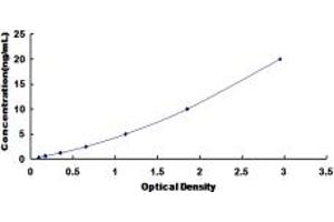 Typical standard curve (PCYOX1 Kit ELISA)