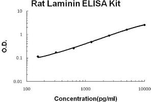 Rat Laminin Accusignal ELISA Kit Rat Laminin AccuSignal ELISA Kit standard curve. (Laminin Kit ELISA)