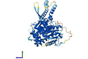 AlphaFold protein structure predicition of Human Recombinant STXBP2 Protein, UniprotID Q15833