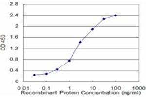 Detection limit for recombinant GST tagged STAT5A is approximately 0. (STAT5A anticorps  (AA 1-104))