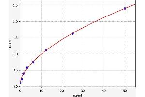 Typical standard curve (Ly6C Kit ELISA)