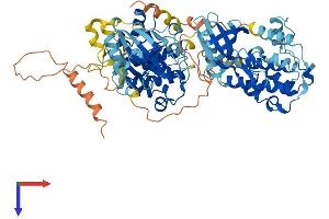 AlphaFold protein structure predicition of Human Recombinant RPS6KA2 Protein, UniprotID Q15349