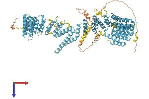 AlphaFold protein structure predicition of Human Recombinant XAB2 Protein, UniprotID Q9HCS7