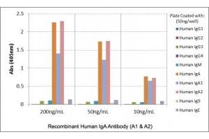 ELISA of human immunoglobulins shows the recombinant Human IgA antibody reacts to both Human IgA1 & IgA2. (Recombinant Lapin anti-Humain IgA1,2 Anticorps)