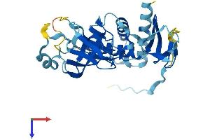 AlphaFold protein structure predicition of Mouse Recombinant Exosc2 Protein, UniprotID Q8VBV3