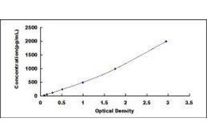 Complement Fragment C4a (C4a) ELISA Kit