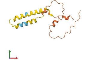 AlphaFold protein structure predicition of Mouse Recombinant Prr9 Protein, UniprotID Q8BV84