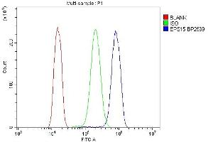 Flow Cytometry analysis of A431 cells using anti-EPS15 antibody (ABIN7599231).