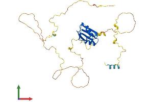 AlphaFold protein structure predicition of Human Recombinant NUP35 Protein, UniprotID Q8NFH5
