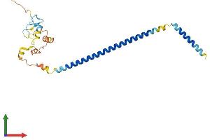 AlphaFold protein structure predicition of Mouse Recombinant Rnf187 Protein, UniprotID Q8BFX1