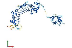 AlphaFold protein structure predicition of Human Recombinant TBCEL Protein, UniprotID Q5QJ74