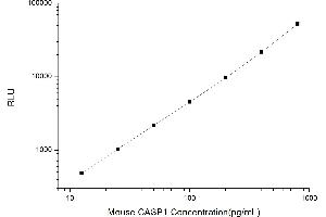 Typical standard curve (Caspase 1 Kit CLIA)