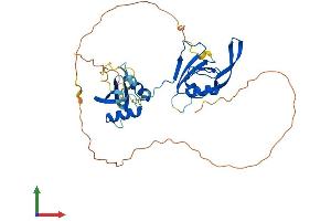 AlphaFold protein structure predicition of Mouse Recombinant Pard6b Protein, UniprotID Q9JK83