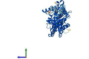AlphaFold protein structure predicition of Mouse Recombinant Gdpd2 Protein, UniprotID Q9ESM6