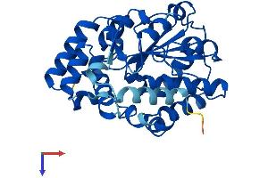 AlphaFold protein structure predicition of Human Recombinant SULT6B1 Protein, UniprotID Q6IMI4