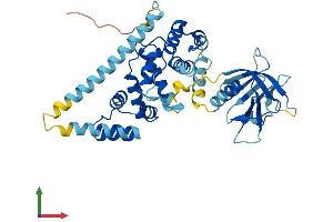 AlphaFold protein structure predicition of Human Recombinant CYTH3 Protein, UniprotID O43739