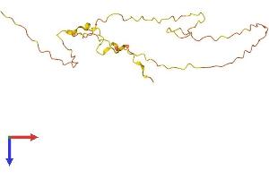 AlphaFold protein structure predicition of Human Recombinant KLLN Protein, UniprotID B2CW77