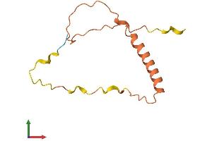 AlphaFold protein structure predicition of Human Recombinant MYCNOS Protein, UniprotID P40205