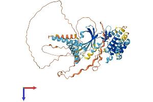 AlphaFold protein structure predicition of Mouse Recombinant Eif2ak1 Protein, UniprotID Q9Z2R9