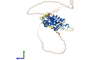 AlphaFold protein structure predicition of Human Recombinant CLIC5 Protein, UniprotID Q9NZA1