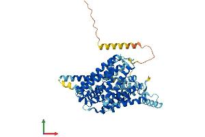 AlphaFold protein structure predicition of Mouse Recombinant Slc7a5 Protein, UniprotID Q9Z127