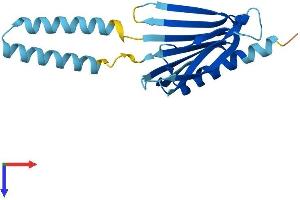 AlphaFold protein structure predicition of Human Recombinant PIGH Protein, UniprotID Q14442