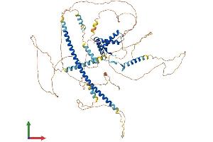 AlphaFold protein structure predicition of Mouse Recombinant Sox5 Protein, UniprotID P35710